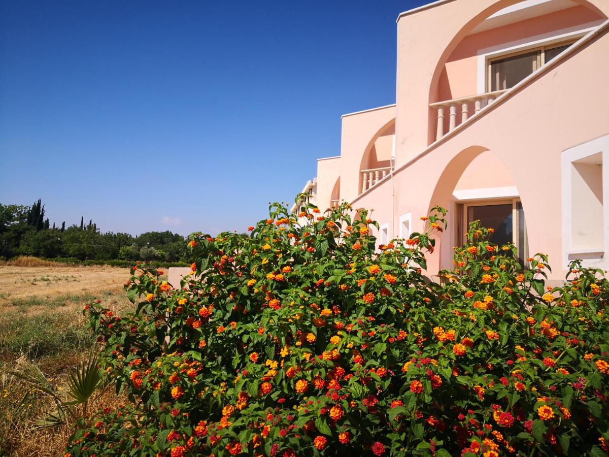Seashell Apartments Pafos Dış mekan fotoğraf